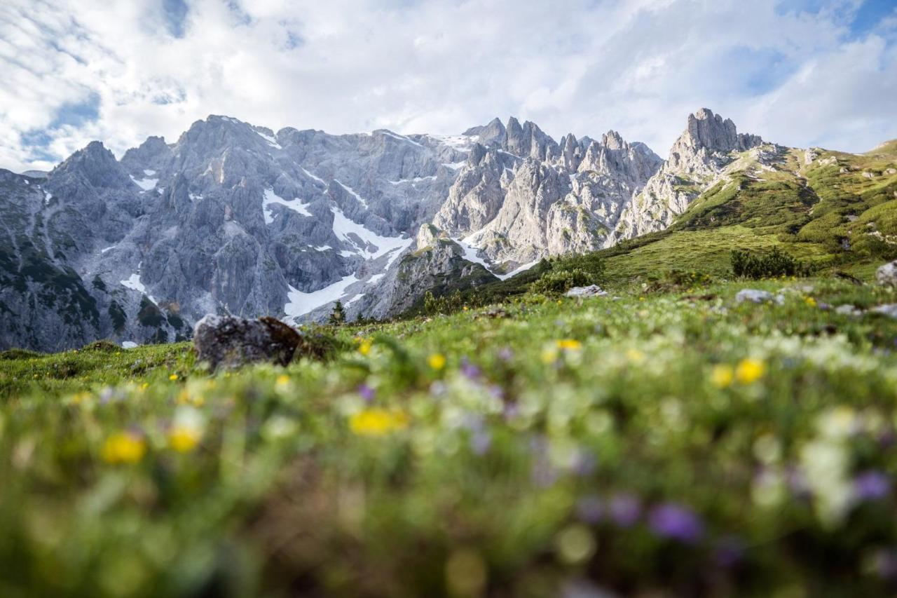 Alpenparks Hotel & Apartment Hochkoenig Мюльбах Экстерьер фото