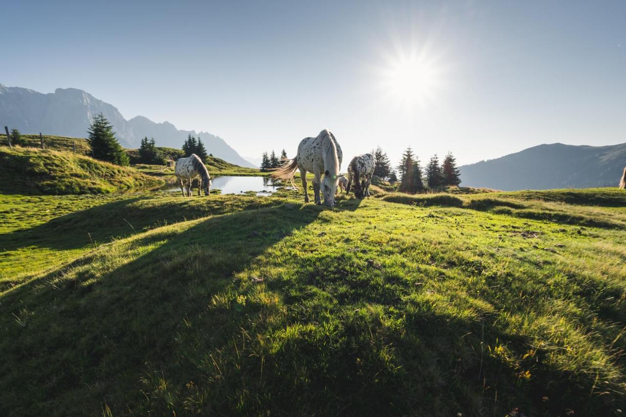 Alpenparks Hotel & Apartment Hochkoenig Мюльбах Экстерьер фото